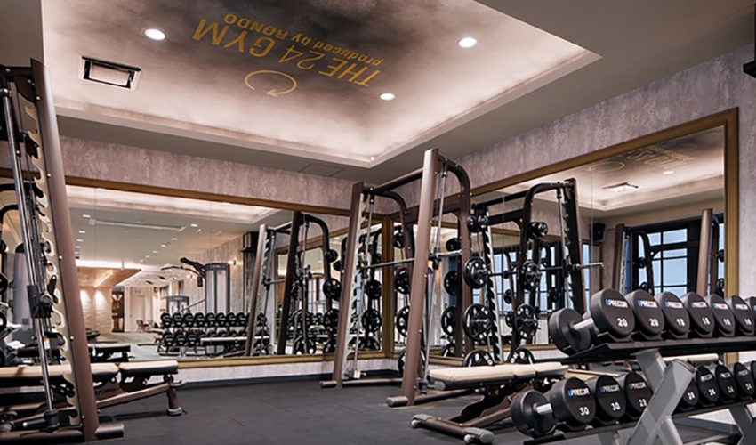 gym_design_THE24GYM